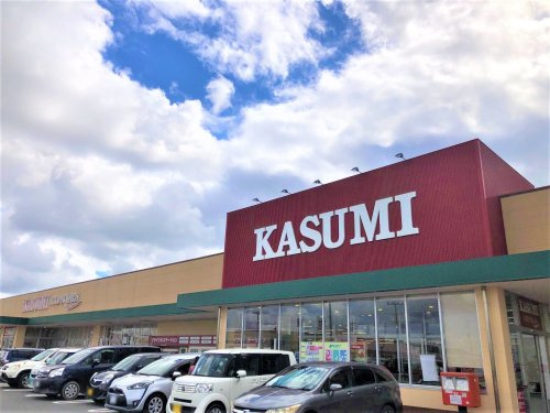 【スーパー】カスミフードスクエア横芝光店まで3379ｍ