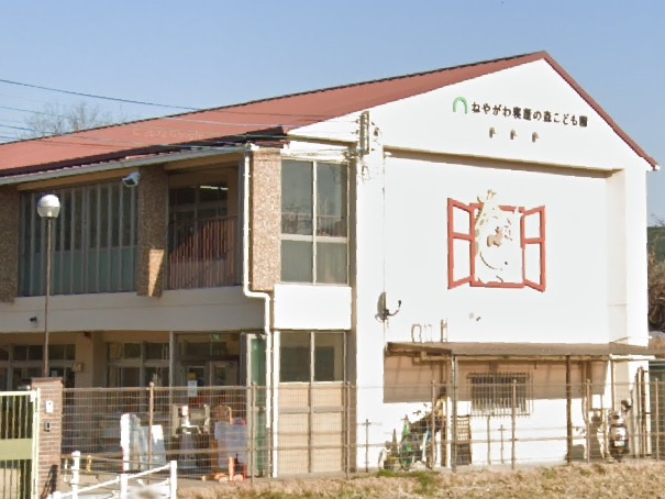 【保育園】ねやがわ寝屋の森こども園まで621ｍ