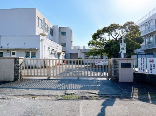 【小学校】富士市立田子浦小学校まで1259ｍ