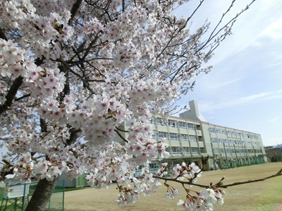 【小学校】川西市立清和台小学校まで629ｍ