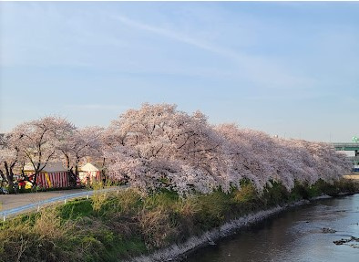 【公園】清洲公園まで3288ｍ