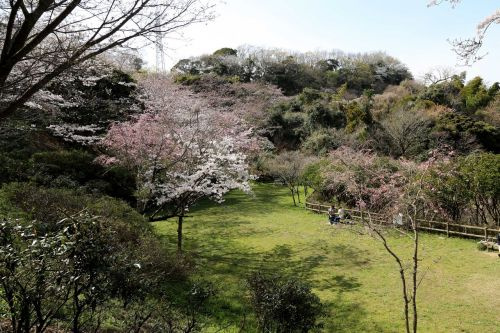 【公園】桜山中央公園まで1324ｍ