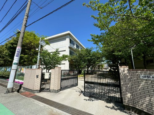 【中学校】尼崎市立大成中学校まで1082ｍ