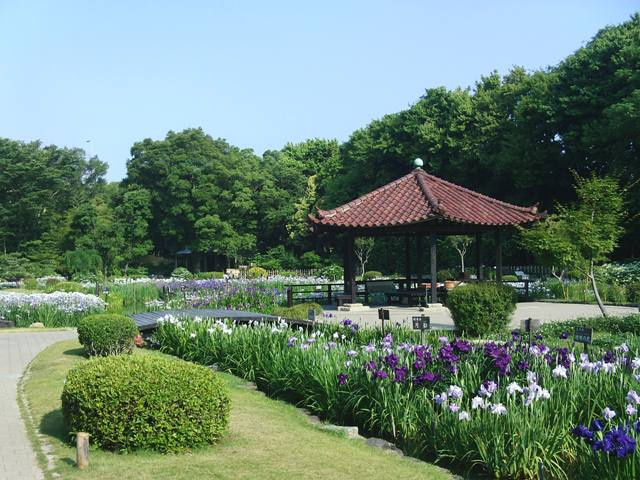 【公園】城北公園まで480ｍ