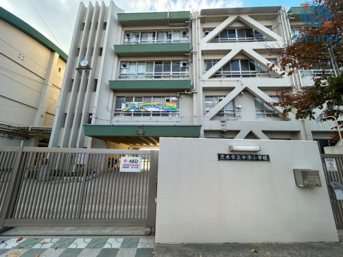 【小学校】茨木市立中津小学校まで281ｍ