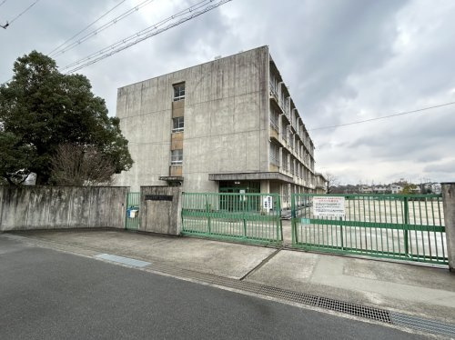 【中学校】枚方市立杉中学校まで1255ｍ
