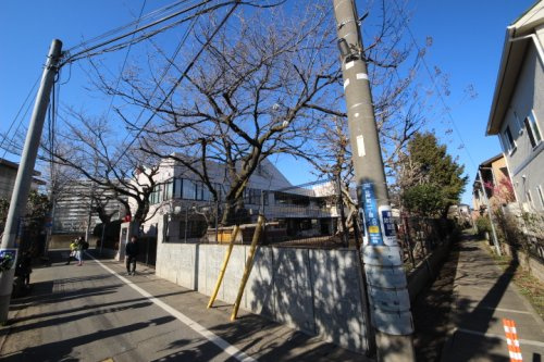 【幼稚園】谷戸幼稚園まで398ｍ
