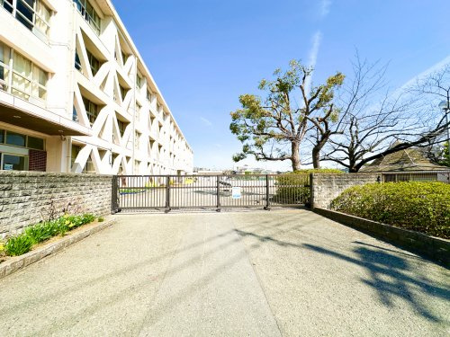 【小学校】藤沢市立村岡小学校まで1520ｍ