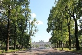 【公園】若葉東公園まで542ｍ
