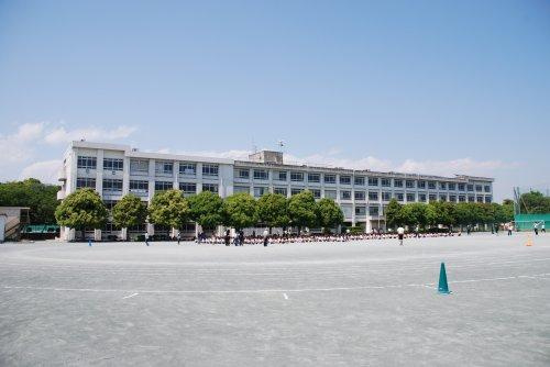 【中学校】藤沢市立湘南台中学校まで1256ｍ