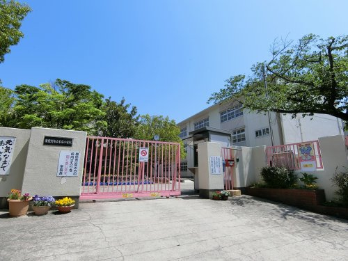 【小学校】泉佐野市立末広小学校まで1585ｍ