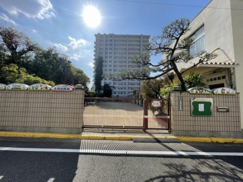 【幼稚園】大洲幼稚園まで490ｍ