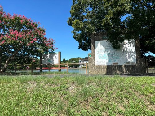 【公園】大沼公園まで1785ｍ