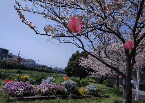 【公園】湘南夢わくわく公園まで810ｍ