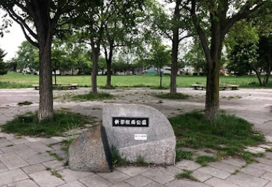 【公園】新琴似西公園まで798ｍ