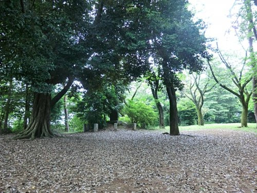 【公園】東金子公園まで1350ｍ