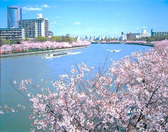 【公園】毛馬桜之宮公園まで320ｍ