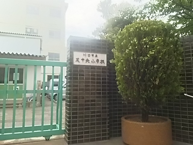 【小学校】川口市立芝中央小学校まで179ｍ