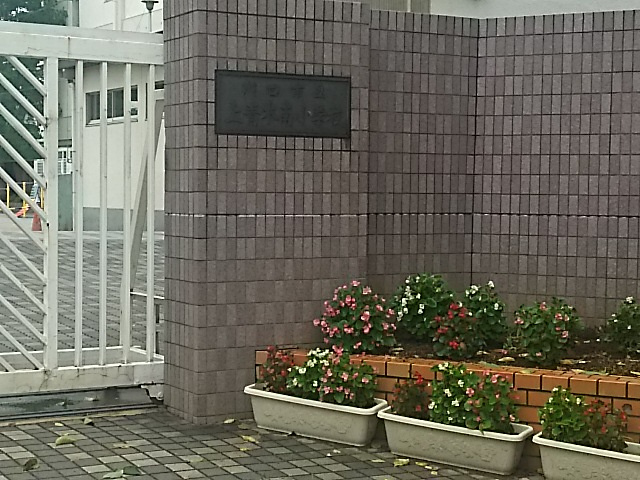 【小学校】川口市立上青木南小学校まで202ｍ
