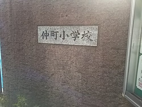 【小学校】川口市立仲町小学校まで1173ｍ