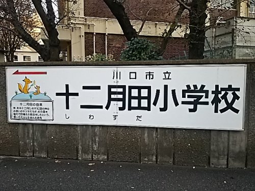 【小学校】川口市立十二月田小学校まで468ｍ
