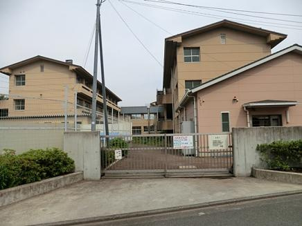 【小学校】当麻田小学校まで1572ｍ