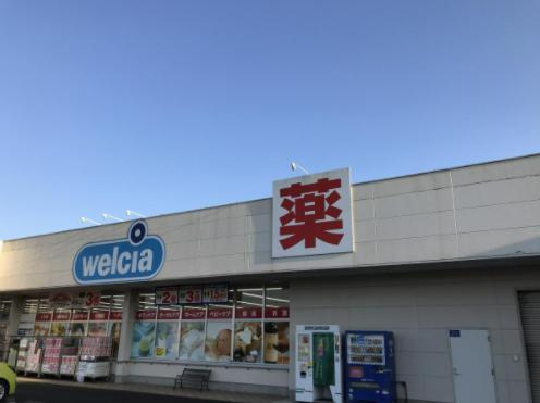 【ドラッグストア】ウエルシア　小美玉羽鳥店まで1313ｍ