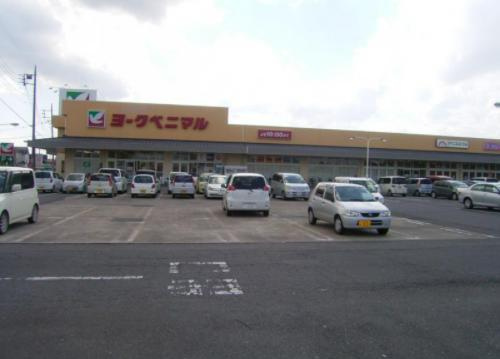 【スーパー】ヨークベニマル羽鳥東店まで1462ｍ