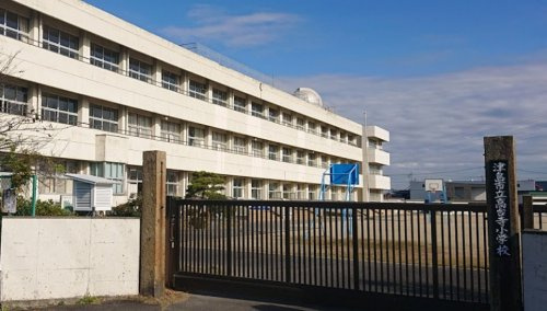 【小学校】津島市立高台寺小学校まで911ｍ