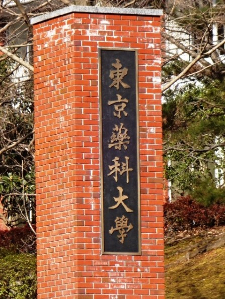 【大学】私立東京薬科大学まで952ｍ