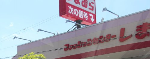【生活雑貨店】しまむら　古市店まで416ｍ