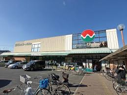 【スーパー】スーパーワカバ本店まで1589ｍ