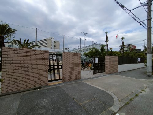 【小学校】大阪市立八幡屋小学校まで172ｍ