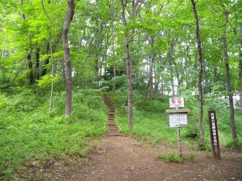 【公園】向原南緑地まで4557ｍ