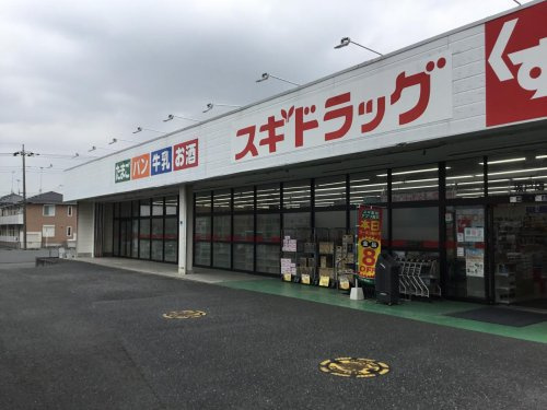 【ドラッグストア】スギドラッグ坂戸店まで866ｍ