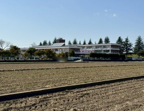 【小学校】小山市立乙女小学校まで1787ｍ