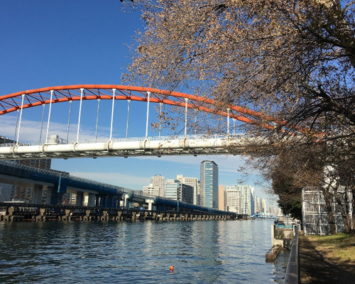 【公園】京浜運河緑道公園まで416ｍ