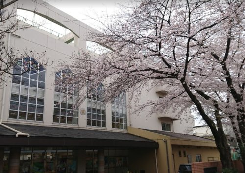 【中学校】杉並区立宮前中学校まで505ｍ