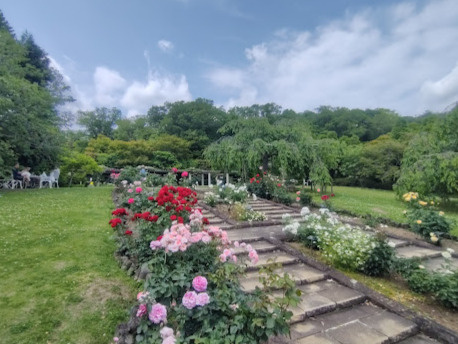 【公園】西宮市北山緑化植物園まで1096ｍ