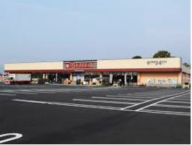 【スーパー】とりせん細谷店まで1029ｍ