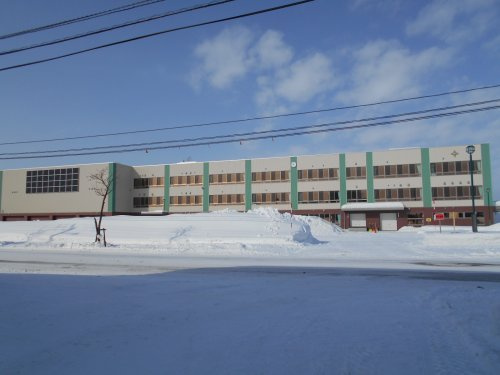 【小学校】岩見沢市立中央小学校まで475ｍ
