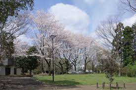 【公園】横川下原公園まで164ｍ