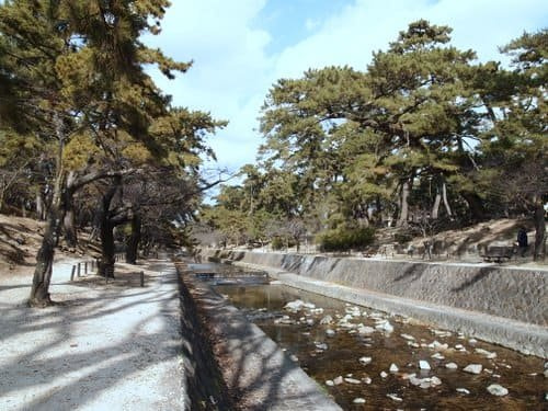 【公園】夙川河川敷緑地(夙川公園)まで3225ｍ