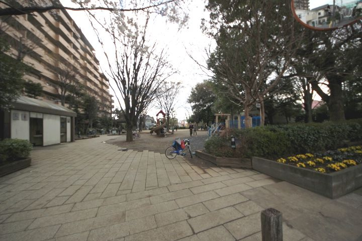 【公園】西口中央公園まで734ｍ