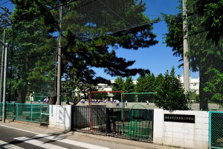 【中学校】田無第三中学校まで567ｍ