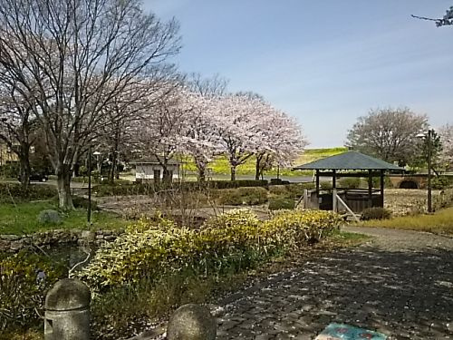 【公園】葛西親水公園まで886ｍ