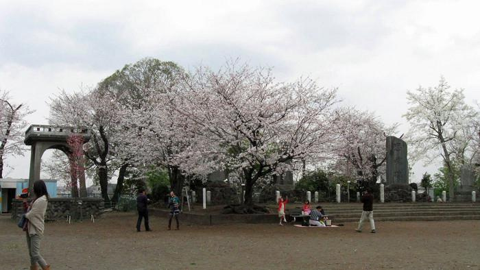 【公園】伊勢山緑地まで476ｍ