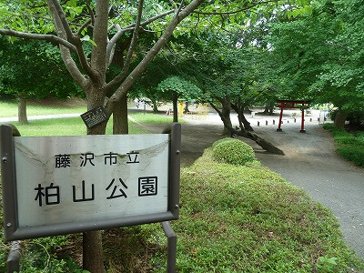 【公園】柏山公園まで1189ｍ