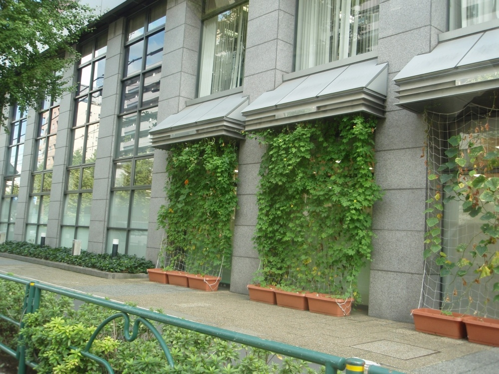 【保育園】私立日本興亜スマイルキッズ江戸川橋保育園まで279ｍ