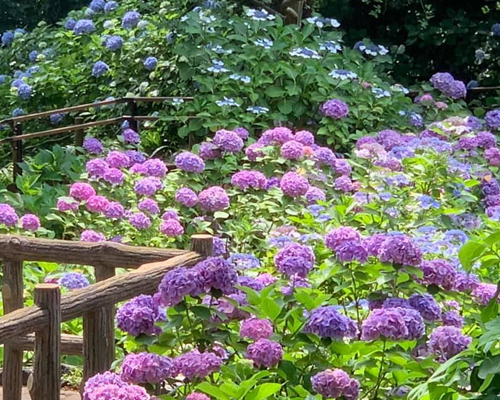 【公園】多摩川台公園まで308ｍ